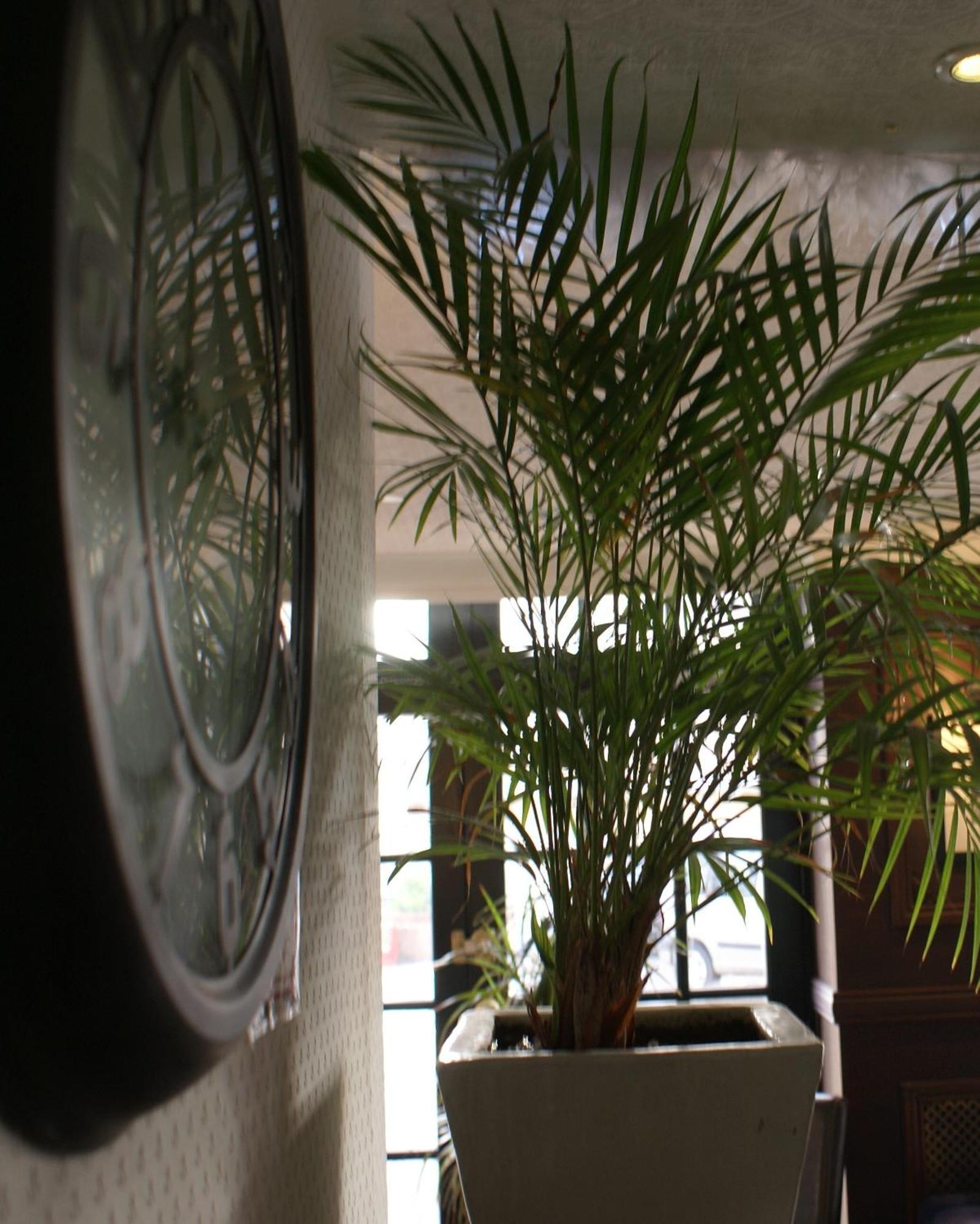 Be Cottage Hotel Le Touquet المظهر الخارجي الصورة